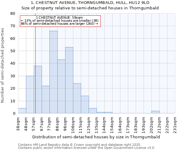 1, CHESTNUT AVENUE, THORNGUMBALD, HULL, HU12 9LD: Size of property relative to semi-detached houses houses in Thorngumbald