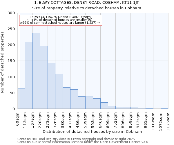 1, ELWY COTTAGES, DENBY ROAD, COBHAM, KT11 1JT: Size of property relative to detached houses houses in Cobham
