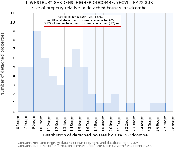 1, WESTBURY GARDENS, HIGHER ODCOMBE, YEOVIL, BA22 8UR: Size of property relative to detached houses houses in Odcombe