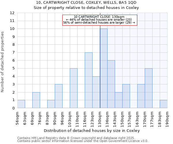 10, CARTWRIGHT CLOSE, COXLEY, WELLS, BA5 1QD: Size of property relative to detached houses houses in Coxley