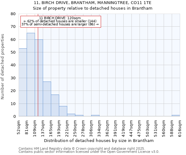 11, BIRCH DRIVE, BRANTHAM, MANNINGTREE, CO11 1TE: Size of property relative to detached houses houses in Brantham