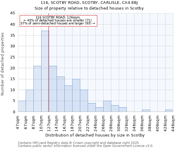 116, SCOTBY ROAD, SCOTBY, CARLISLE, CA4 8BJ: Size of property relative to detached houses houses in Scotby