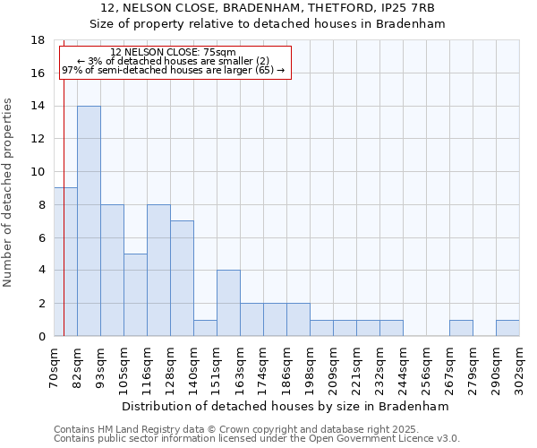 12, NELSON CLOSE, BRADENHAM, THETFORD, IP25 7RB: Size of property relative to detached houses houses in Bradenham