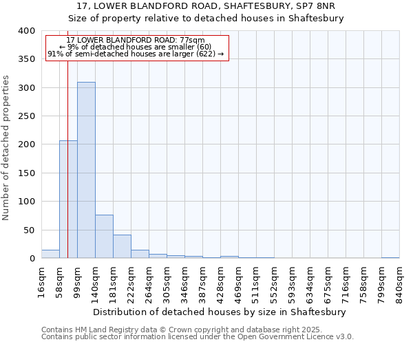 17, LOWER BLANDFORD ROAD, SHAFTESBURY, SP7 8NR: Size of property relative to detached houses houses in Shaftesbury