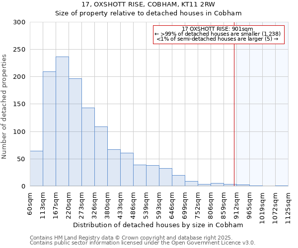 17, OXSHOTT RISE, COBHAM, KT11 2RW: Size of property relative to detached houses houses in Cobham