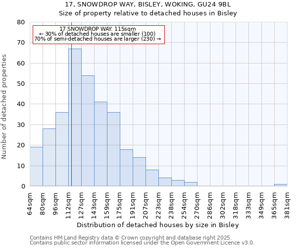 17, SNOWDROP WAY, BISLEY, WOKING, GU24 9BL: Size of property relative to detached houses houses in Bisley