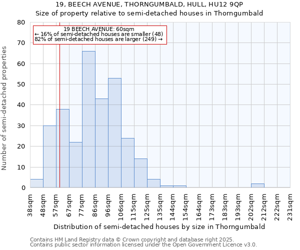 19, BEECH AVENUE, THORNGUMBALD, HULL, HU12 9QP: Size of property relative to semi-detached houses houses in Thorngumbald