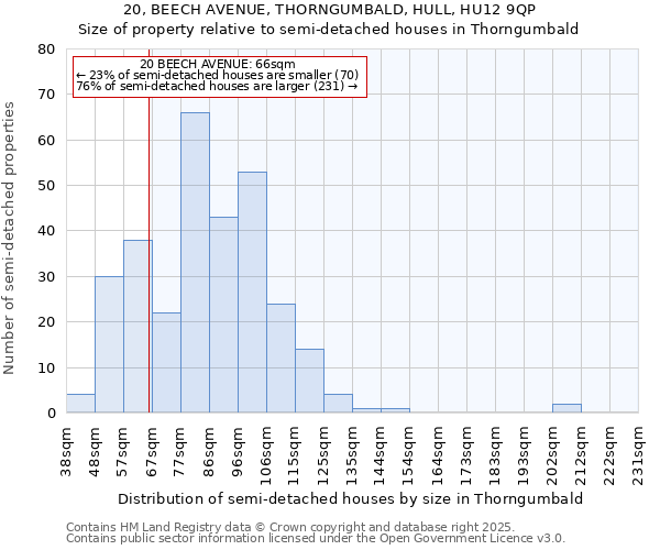 20, BEECH AVENUE, THORNGUMBALD, HULL, HU12 9QP: Size of property relative to semi-detached houses houses in Thorngumbald