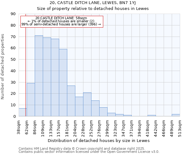 20, CASTLE DITCH LANE, LEWES, BN7 1YJ: Size of property relative to detached houses houses in Lewes