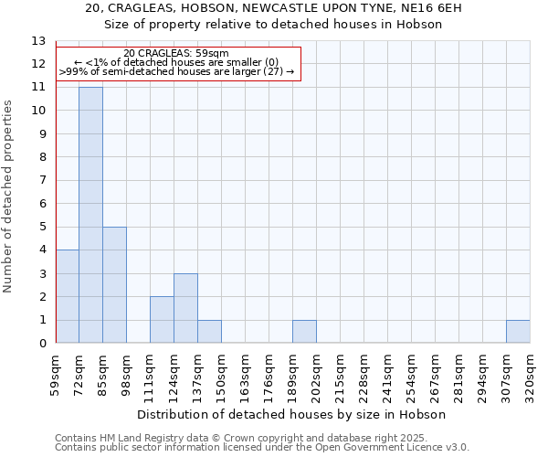 20, CRAGLEAS, HOBSON, NEWCASTLE UPON TYNE, NE16 6EH: Size of property relative to detached houses houses in Hobson