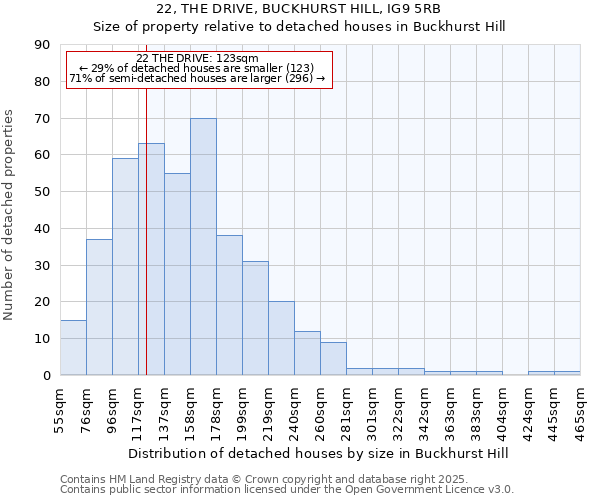 22, THE DRIVE, BUCKHURST HILL, IG9 5RB: Size of property relative to detached houses houses in Buckhurst Hill