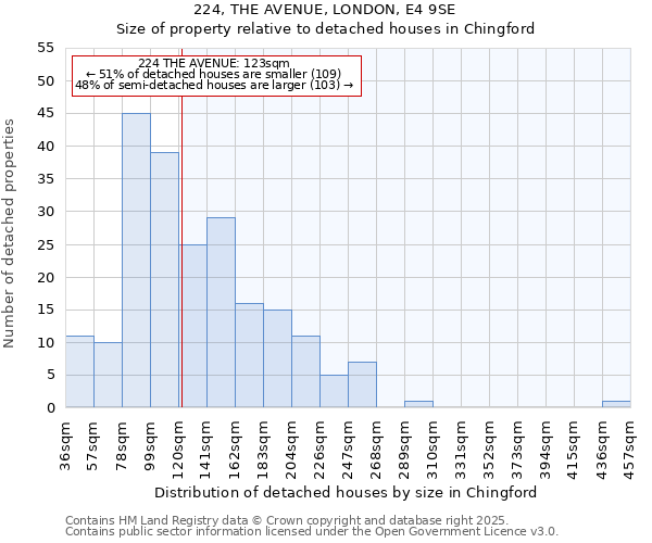 224, THE AVENUE, LONDON, E4 9SE: Size of property relative to detached houses houses in Chingford