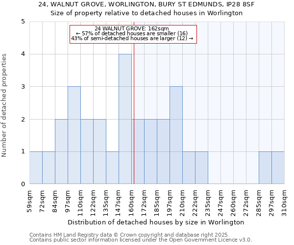 24, WALNUT GROVE, WORLINGTON, BURY ST EDMUNDS, IP28 8SF: Size of property relative to detached houses houses in Worlington