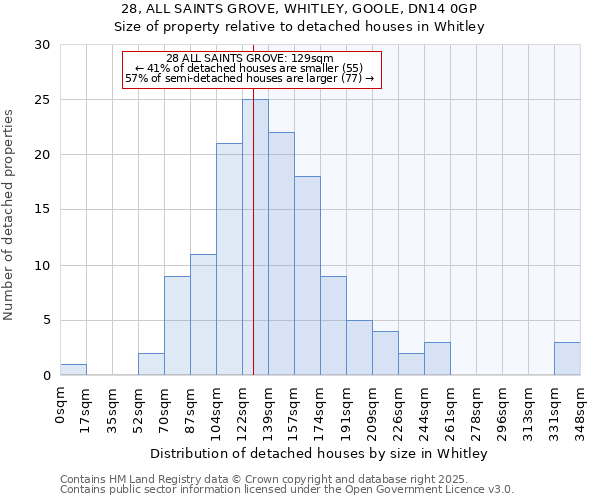 28, ALL SAINTS GROVE, WHITLEY, GOOLE, DN14 0GP: Size of property relative to detached houses houses in Whitley