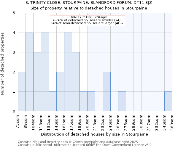 3, TRINITY CLOSE, STOURPAINE, BLANDFORD FORUM, DT11 8JZ: Size of property relative to detached houses houses in Stourpaine