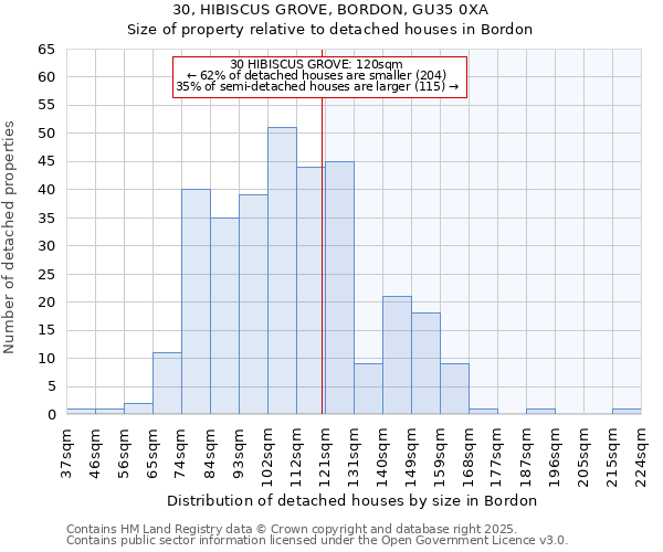 30, HIBISCUS GROVE, BORDON, GU35 0XA: Size of property relative to detached houses houses in Bordon