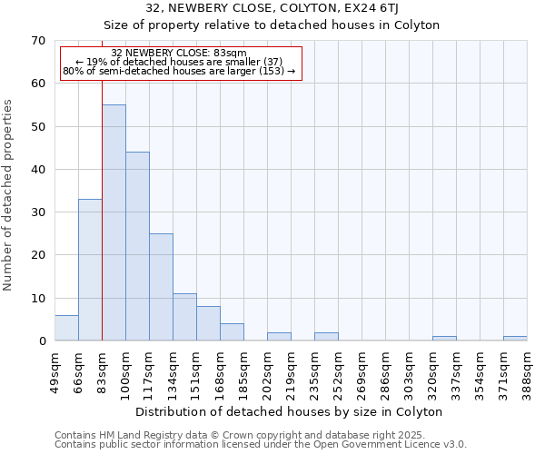 32, NEWBERY CLOSE, COLYTON, EX24 6TJ: Size of property relative to detached houses houses in Colyton