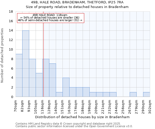 49B, HALE ROAD, BRADENHAM, THETFORD, IP25 7RA: Size of property relative to detached houses houses in Bradenham