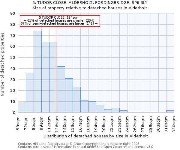 5, TUDOR CLOSE, ALDERHOLT, FORDINGBRIDGE, SP6 3LY: Size of property relative to detached houses houses in Alderholt