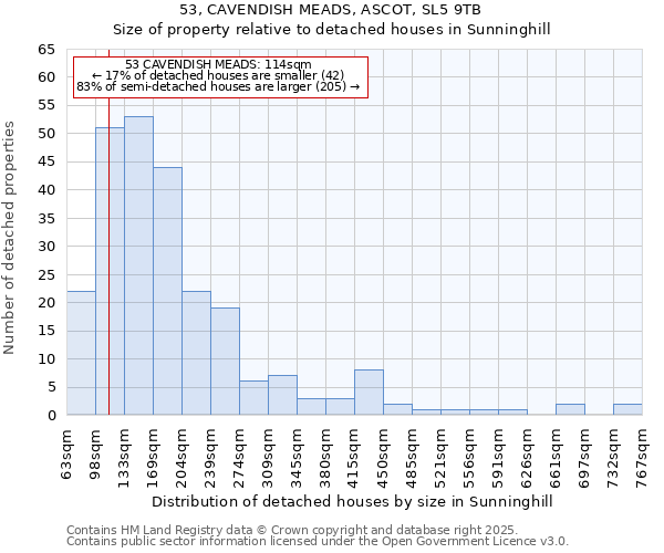 53, CAVENDISH MEADS, ASCOT, SL5 9TB: Size of property relative to detached houses houses in Sunninghill