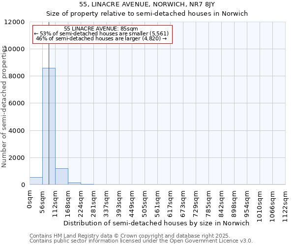 55, LINACRE AVENUE, NORWICH, NR7 8JY: Size of property relative to semi-detached houses houses in Norwich
