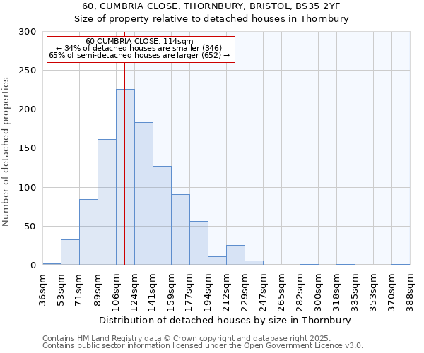 60, CUMBRIA CLOSE, THORNBURY, BRISTOL, BS35 2YF: Size of property relative to detached houses houses in Thornbury