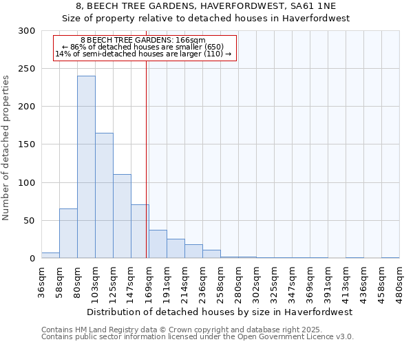 8, BEECH TREE GARDENS, HAVERFORDWEST, SA61 1NE: Size of property relative to detached houses houses in Haverfordwest