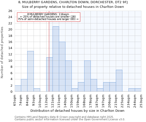 8, MULBERRY GARDENS, CHARLTON DOWN, DORCHESTER, DT2 9FJ: Size of property relative to detached houses houses in Charlton Down