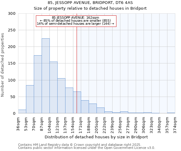 85, JESSOPP AVENUE, BRIDPORT, DT6 4AS: Size of property relative to detached houses houses in Bridport