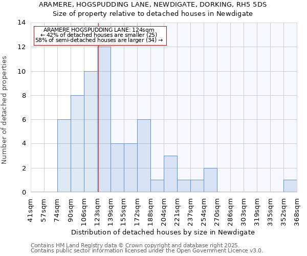 ARAMERE, HOGSPUDDING LANE, NEWDIGATE, DORKING, RH5 5DS: Size of property relative to detached houses houses in Newdigate