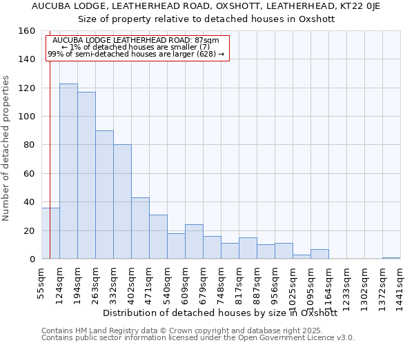 AUCUBA LODGE, LEATHERHEAD ROAD, OXSHOTT, LEATHERHEAD, KT22 0JE: Size of property relative to detached houses houses in Oxshott