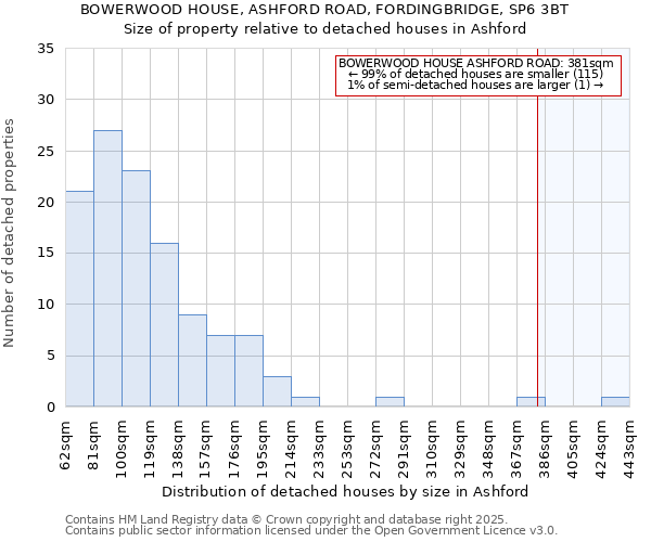 BOWERWOOD HOUSE, ASHFORD ROAD, FORDINGBRIDGE, SP6 3BT: Size of property relative to detached houses houses in Ashford
