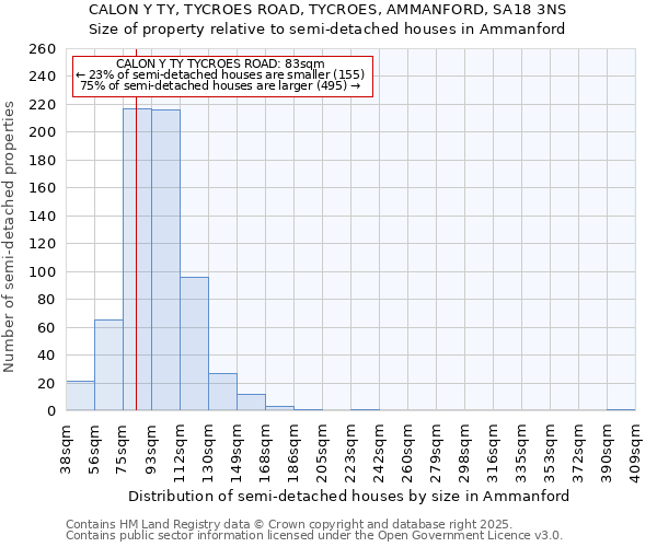 CALON Y TY, TYCROES ROAD, TYCROES, AMMANFORD, SA18 3NS: Size of property relative to semi-detached houses houses in Ammanford