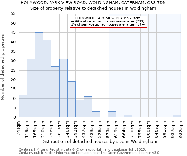 HOLMWOOD, PARK VIEW ROAD, WOLDINGHAM, CATERHAM, CR3 7DN: Size of property relative to detached houses houses in Woldingham