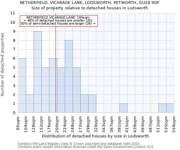 NETHERFIELD, VICARAGE LANE, LODSWORTH, PETWORTH, GU28 9DF: Size of property relative to detached houses houses in Lodsworth