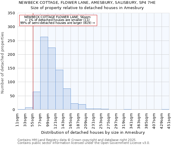 NEWBECK COTTAGE, FLOWER LANE, AMESBURY, SALISBURY, SP4 7HE: Size of property relative to detached houses houses in Amesbury