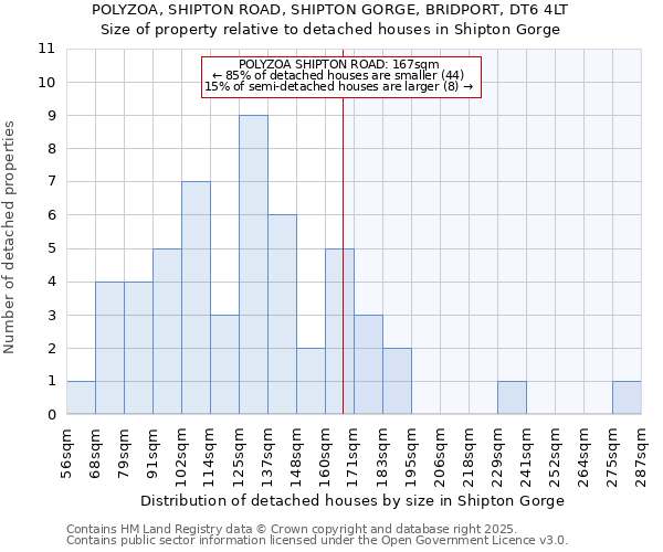 POLYZOA, SHIPTON ROAD, SHIPTON GORGE, BRIDPORT, DT6 4LT: Size of property relative to detached houses houses in Shipton Gorge