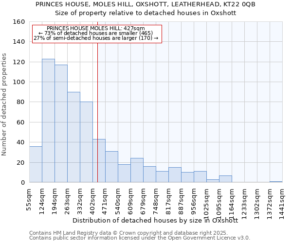 PRINCES HOUSE, MOLES HILL, OXSHOTT, LEATHERHEAD, KT22 0QB: Size of property relative to detached houses houses in Oxshott