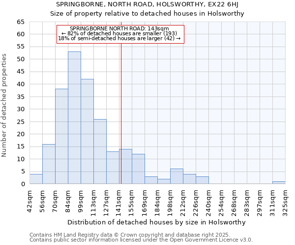 SPRINGBORNE, NORTH ROAD, HOLSWORTHY, EX22 6HJ: Size of property relative to detached houses houses in Holsworthy