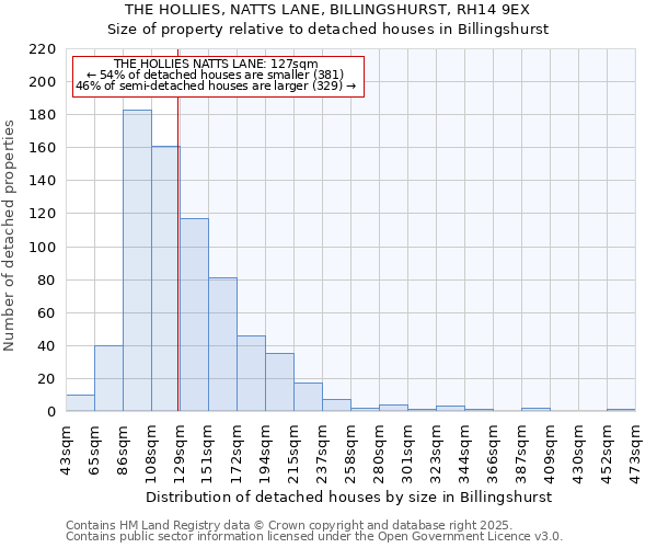 THE HOLLIES, NATTS LANE, BILLINGSHURST, RH14 9EX: Size of property relative to detached houses houses in Billingshurst