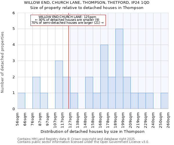 WILLOW END, CHURCH LANE, THOMPSON, THETFORD, IP24 1QD: Size of property relative to detached houses houses in Thompson