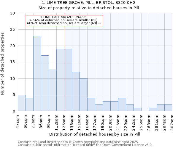 1, LIME TREE GROVE, PILL, BRISTOL, BS20 0HG: Size of property relative to detached houses houses in Pill