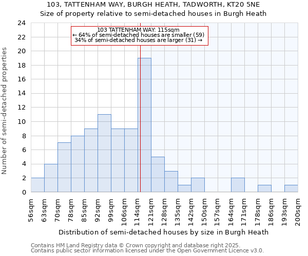 103, TATTENHAM WAY, BURGH HEATH, TADWORTH, KT20 5NE: Size of property relative to semi-detached houses houses in Burgh Heath