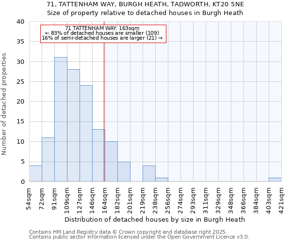 71, TATTENHAM WAY, BURGH HEATH, TADWORTH, KT20 5NE: Size of property relative to detached houses houses in Burgh Heath