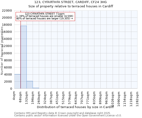 123, CYFARTHFA STREET, CARDIFF, CF24 3HG: Size of property relative to terraced houses houses in Cardiff
