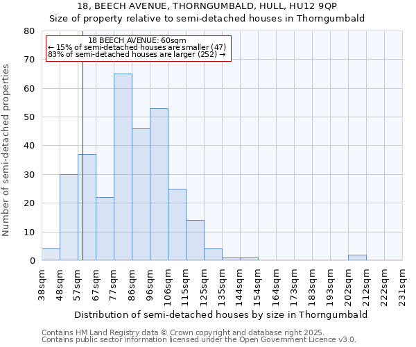 18, BEECH AVENUE, THORNGUMBALD, HULL, HU12 9QP: Size of property relative to semi-detached houses houses in Thorngumbald