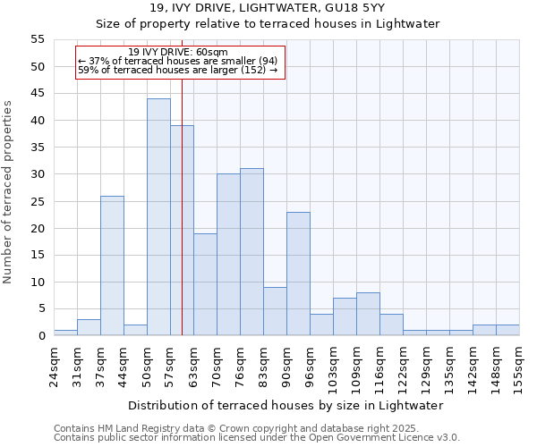 19, IVY DRIVE, LIGHTWATER, GU18 5YY: Size of property relative to terraced houses houses in Lightwater
