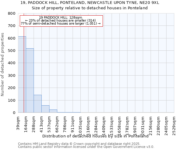 19, PADDOCK HILL, PONTELAND, NEWCASTLE UPON TYNE, NE20 9XL: Size of property relative to detached houses houses in Ponteland