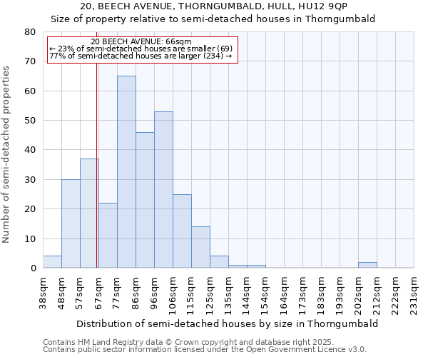 20, BEECH AVENUE, THORNGUMBALD, HULL, HU12 9QP: Size of property relative to semi-detached houses houses in Thorngumbald