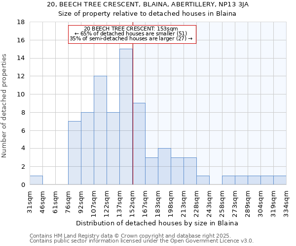 20, BEECH TREE CRESCENT, BLAINA, ABERTILLERY, NP13 3JA: Size of property relative to detached houses houses in Blaina